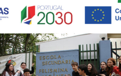 Fichas de Operação