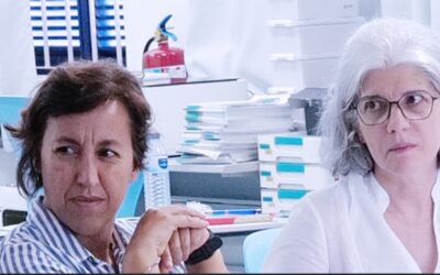 My Robot, My LearnMate: Agrupamento de Escolas de Mangualde conclui mais uma reunião internacional na Madeira